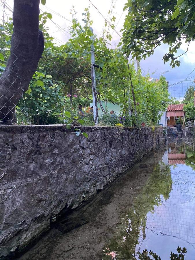 Отель Bujtina Gjyshi Ilo Tushemisht Экстерьер фото