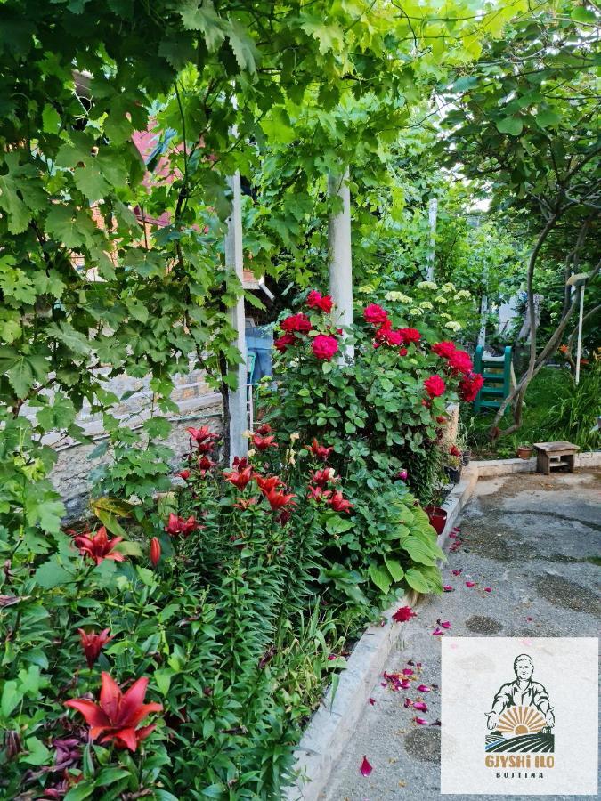 Отель Bujtina Gjyshi Ilo Tushemisht Экстерьер фото